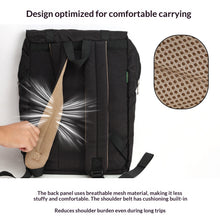 Backpack with Insert Organizer Set, for Travel, Business, College, Casual, Slim and Smart Looking, Women & Men