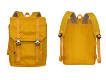 Backpack with Insert Organizer Set, for Travel, Business, College, Casual, Slim and Smart Looking, Women & Men